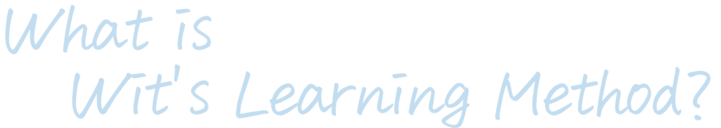 what is Wit's learning method?