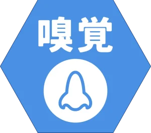嗅覚