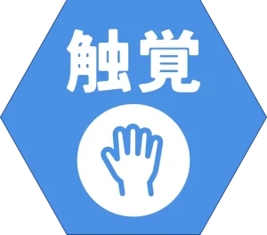 触覚