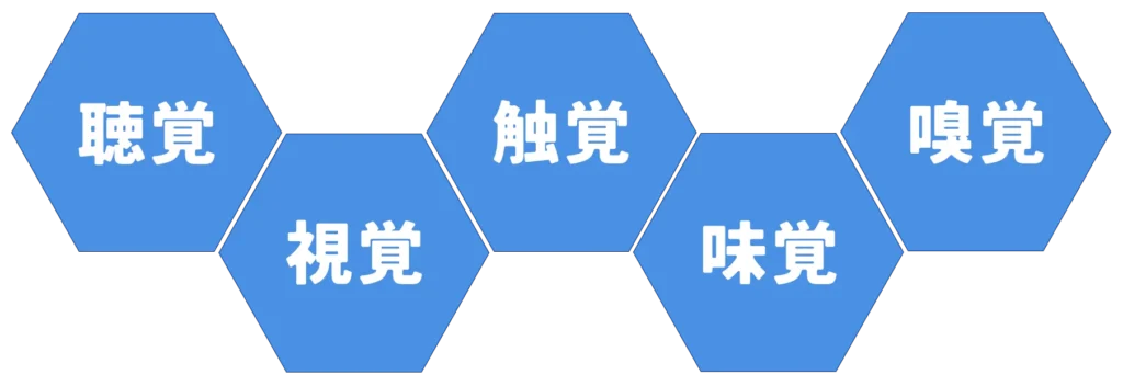 五感を効果的に活用する学習法