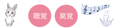 聴覚、臭覚
