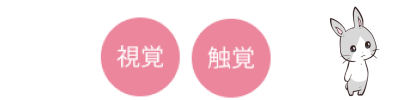 視覚、触覚